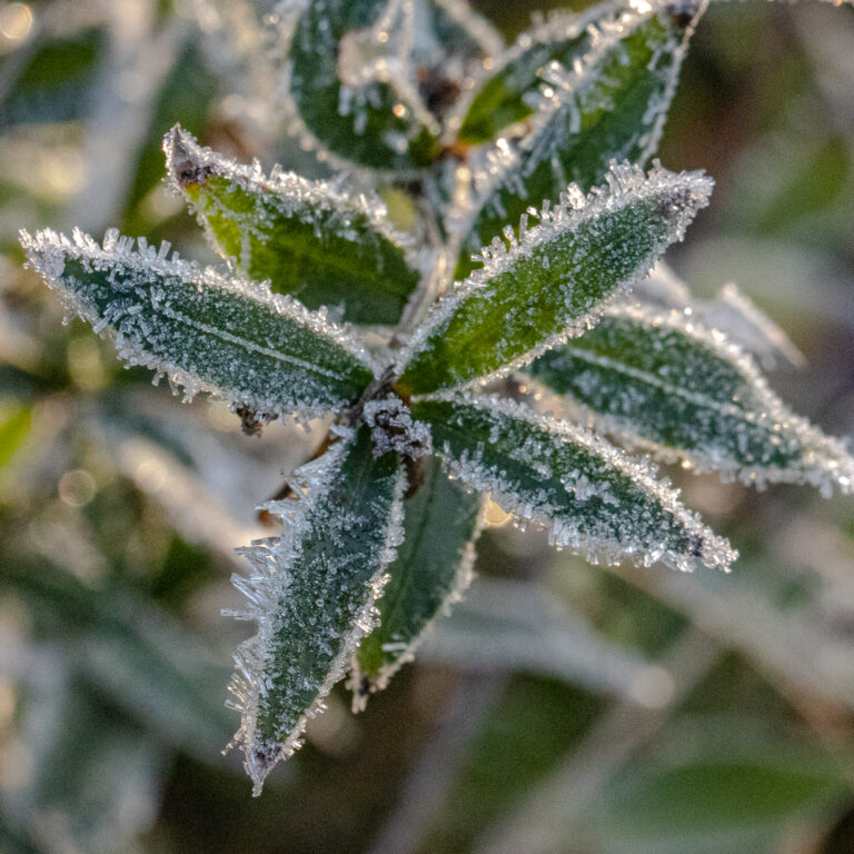 Sortie GPRV – Givre