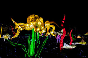 20230131152646-78d7422f