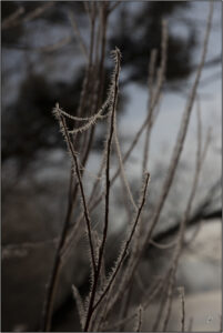 20230210065331-e4c56d8f
