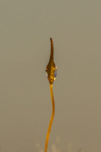 20230218111114-afaca807