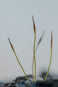 20230218111117-e578b54a