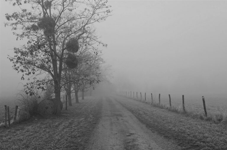 Thème du défi du mois d’octobre : “Brouillard”