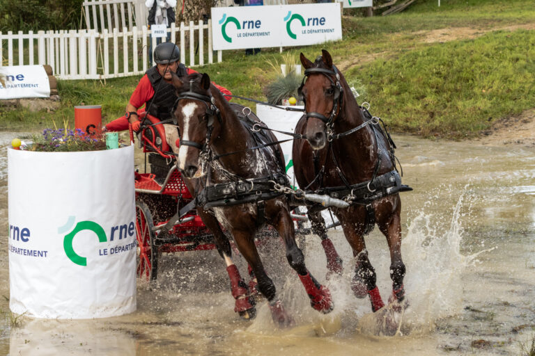 Sortie GPRV – Championnats du Monde d’Attelage 2 Chevaux au Haras du Pin