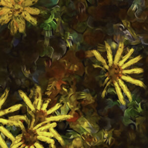 SENECON (Photoshop et IA)