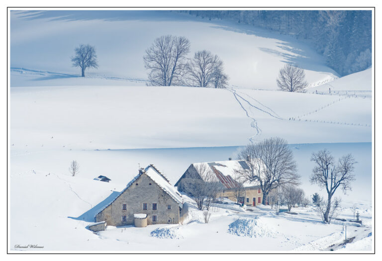 Daniel Wilmus : « Paysages gelés ou enneigés  » #photodumois
