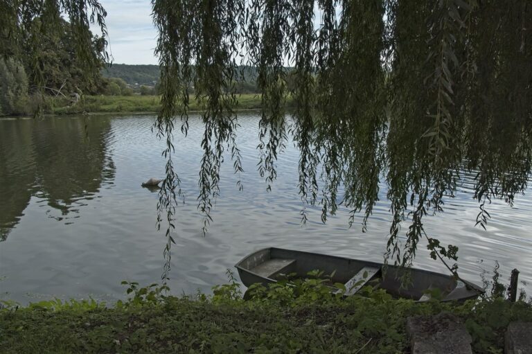 Thème du défi du mois de Mars : “Au bord de l’eau”