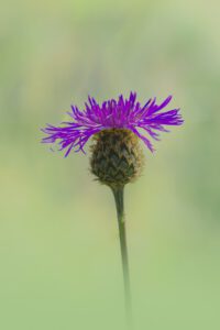 20240808164735-7d7f9703