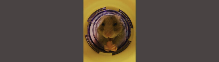 Lilou Thierry : « Gourmandise » #photodumois