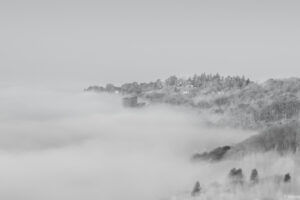 VARIATION_EN_NOIR_ET_BLANC