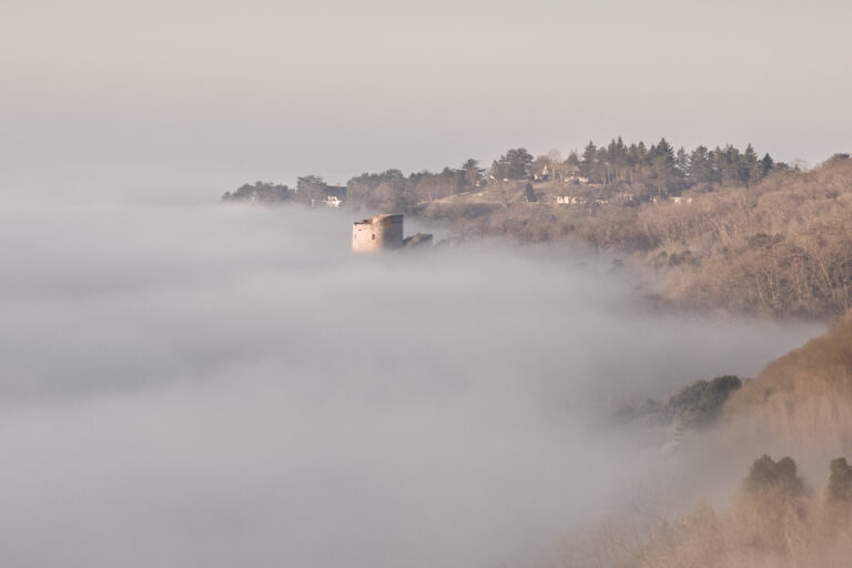 Sortie photos – la Roche-Guyon Février 2025