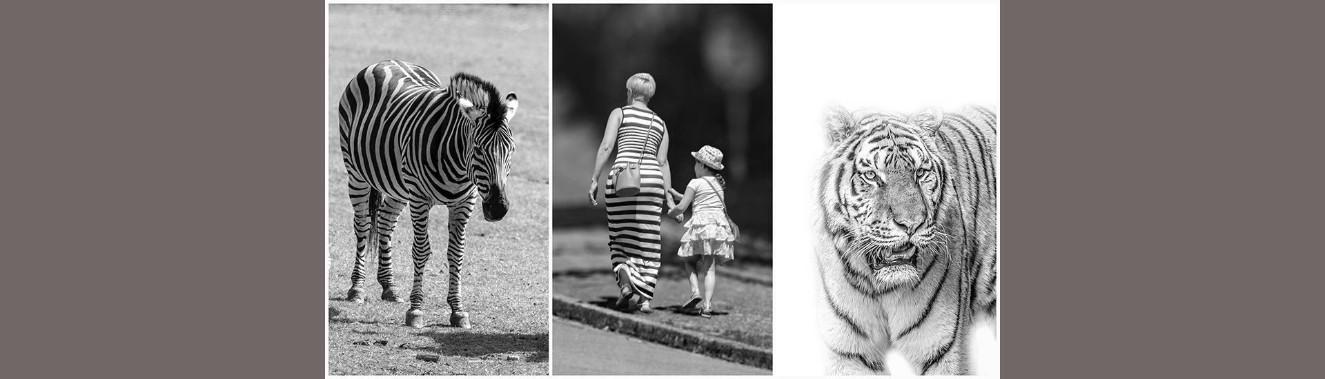 Auteur Rémy Carrion